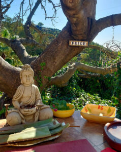 image Buddha